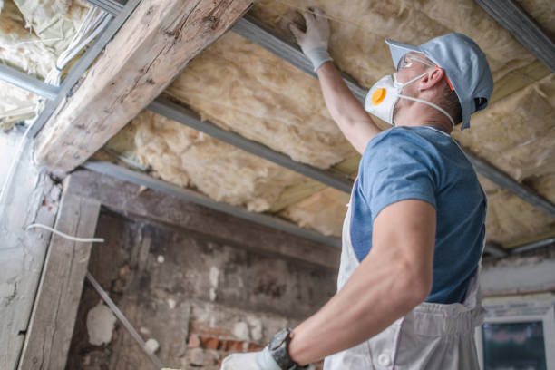 Best Fiberglass Insulation in New Franklin, MO
