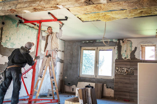 Best Insulation Maintenance and Repair in New Franklin, MO